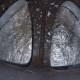 5x112 R16 7.0J ET40 70.1
