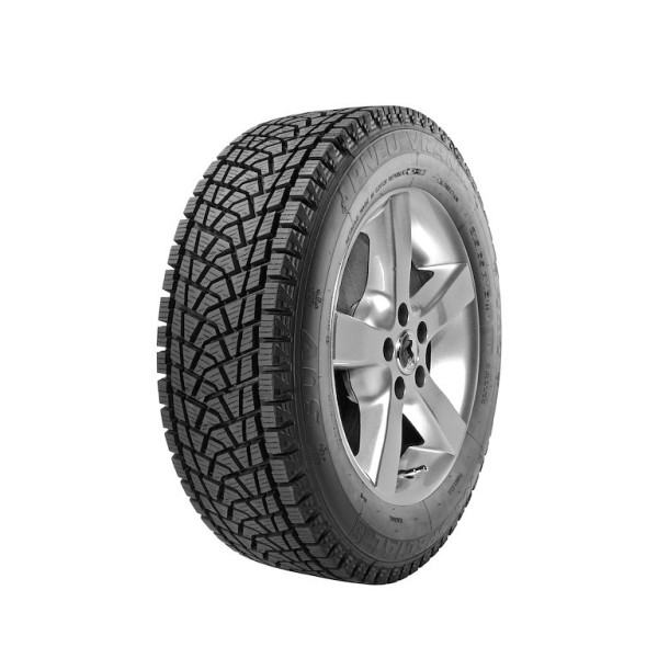 Protektor 225/65R17 102H ICE SPECIAL (M+S, 3PMSF) VRANIK
