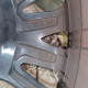 5x112 R19 8.0J ET49 57.1