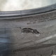 275/35R22 CONTINENTAL DOT0123