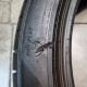 315/35R21 PIRELLI RSC DOT2922