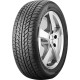 205/60R16 Goodride SW608 92H