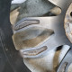 5x130 R21 10.0J 71