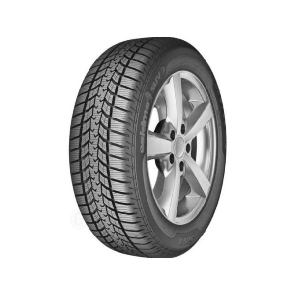 225/45R18 Sava Eskimo HP2 95V XL DOT 2425